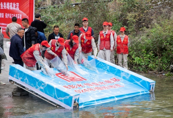 向烏江彭水流域投放32.5萬尾魚苗。廖唯攝