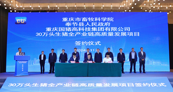 奉節簽約30萬頭生豬全產業鏈高質量發展項目。劉濱清攝