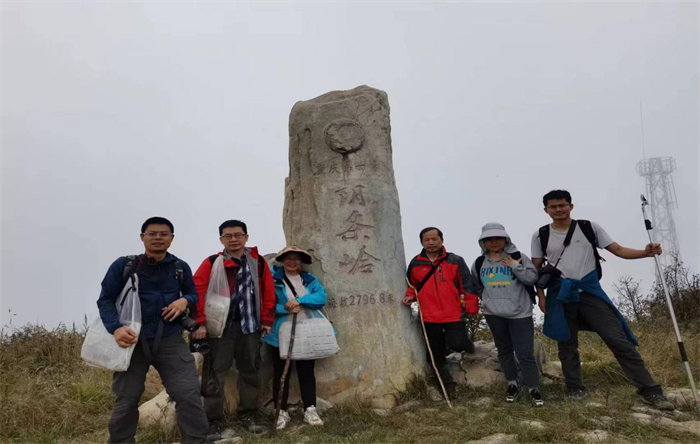 重慶市中藥研究院中藥資源團隊成員在陰條嶺。危永勝拍攝