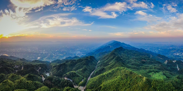 茶山竹海景區。陳科儒攝
