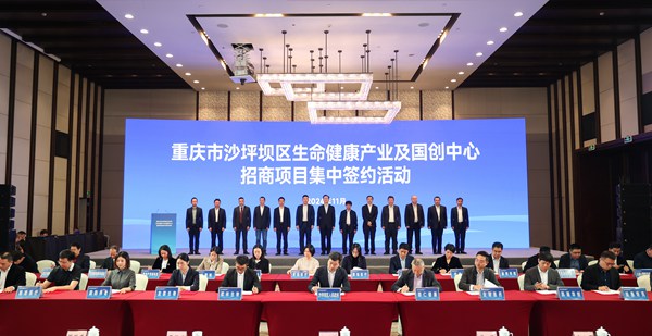 集中簽約活動現場。沙坪壩區融媒體中心供圖