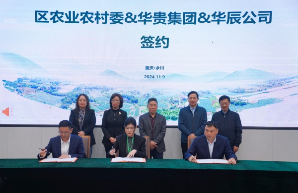 簽約現場。劉磊攝