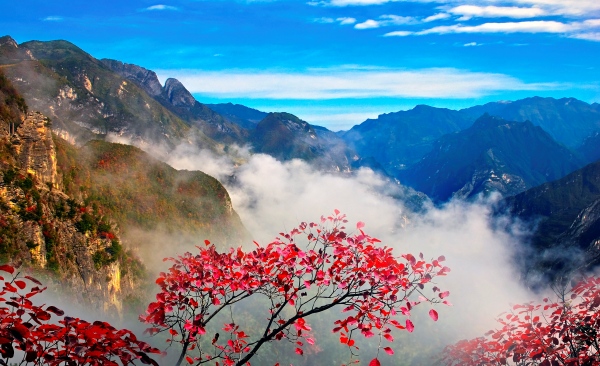 巫溪風景如畫。巫溪縣文化旅游委供圖