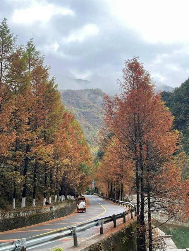 沿途彩林茂盛。任峰攝