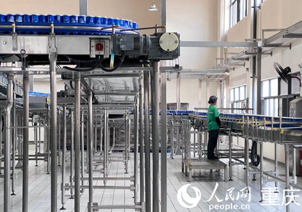 包裝車間易拉罐生產線（資料圖）。人民網記者 胡虹攝