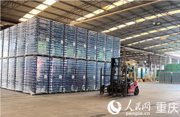 工作人員運輸等待罐裝的易拉罐（資料圖）。人民網記者 胡虹攝