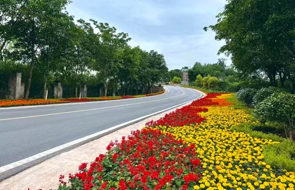 鄉村美景。璧山區委宣傳部供圖