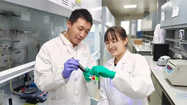 西工大重慶科創中心的液相激光制造與低碳能源技術團隊成員在在進行儲能材料試驗。兩江協同創新區供圖