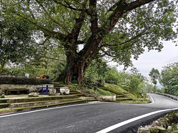 鄉村環境變優美。肖啟嫣攝