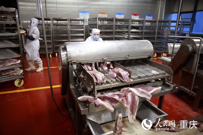 智能車間里，工人們用機器對豬肉進行分割。人民網記者 劉政寧攝