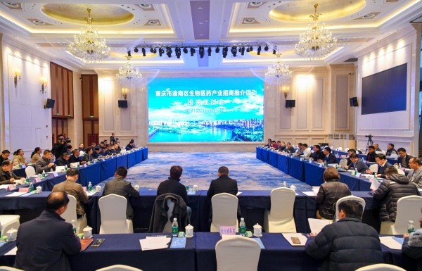 推介座談會現場。潼南區委宣傳部供圖