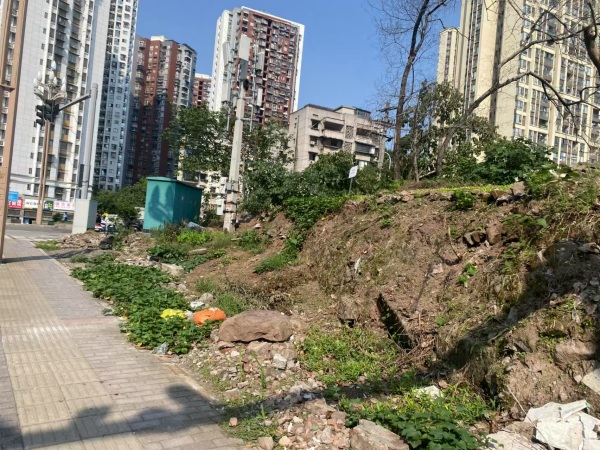 云龍大道整治前。九龍坡區城管局供圖