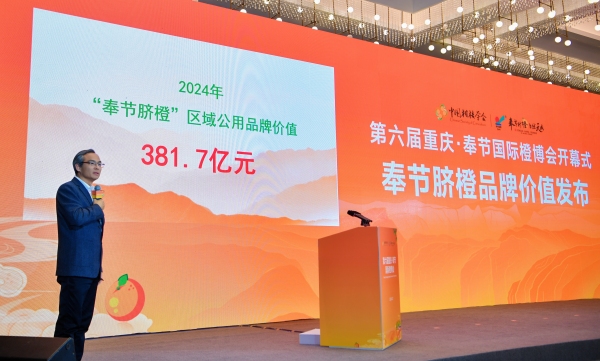 2024年奉節臍橙的區域公用品牌價值為381.7億元。奉節縣委宣傳部供圖