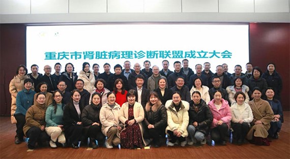 重慶市腎臟病理診斷聯盟成員。重慶醫科大學附屬第三醫院供圖