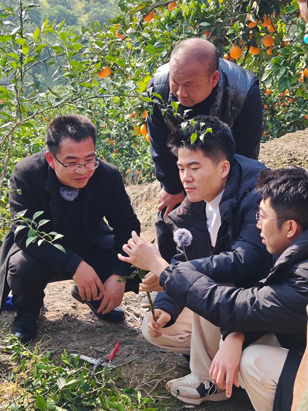 “與輝同行”來渝開播。重慶市商務委員會供圖