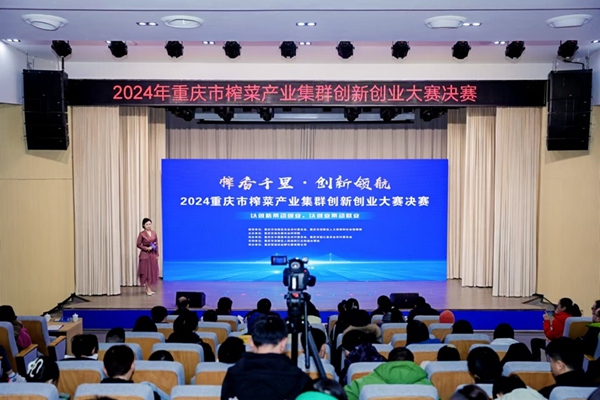 比賽現場。主辦方供圖