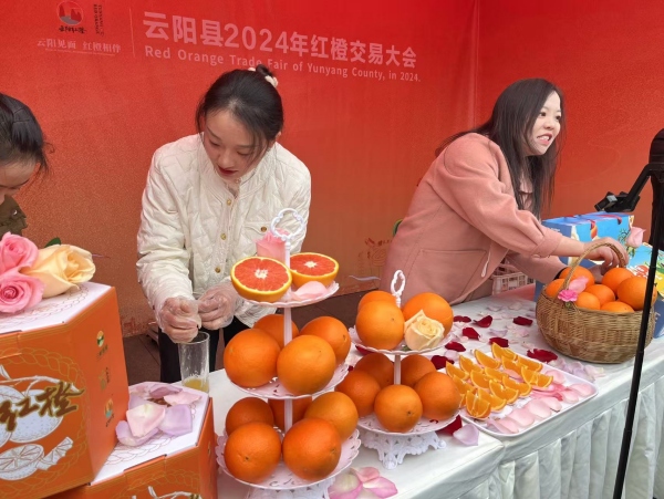 現場售賣云陽紅橙。任峰攝