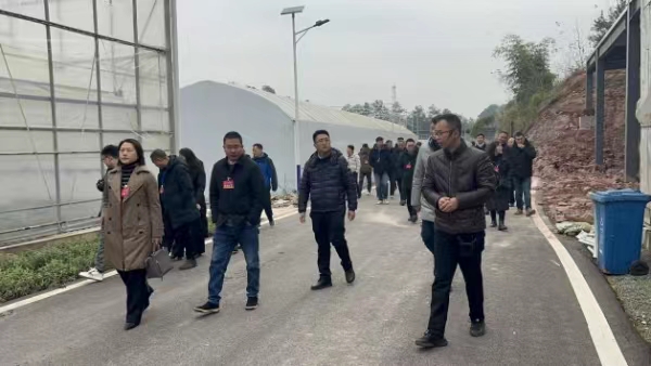 代表參觀貝貝農場。肖啟嫣攝