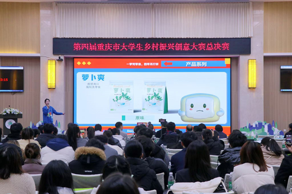 總決賽現場。主辦方供圖