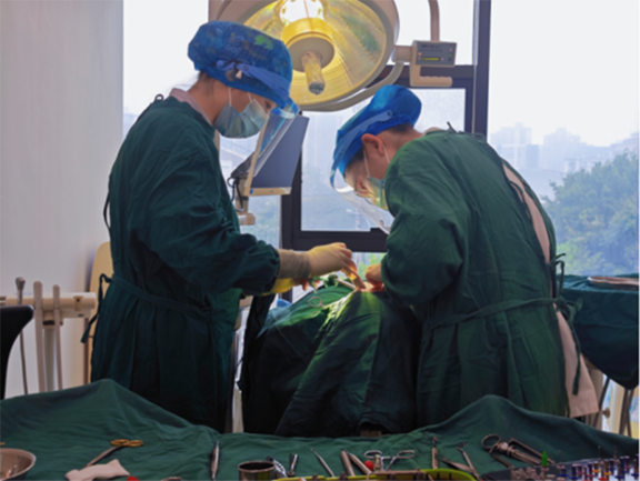 醫生為患者進行牙齒治療。泰康拜博口腔供圖