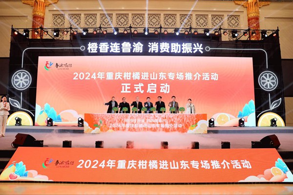 活動現場。主辦方供圖