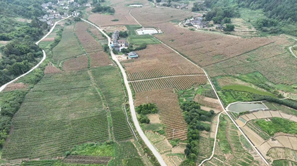 特色產業賦能鄉村振興。雙河口鎮供圖