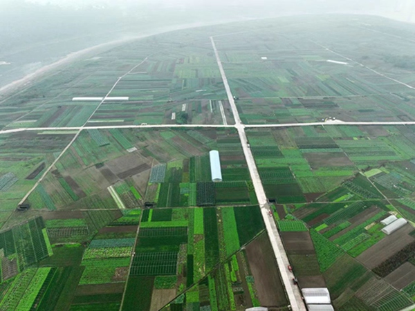 中壩島。李攀攝