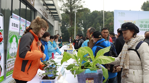 活動現場。蓮花街道供圖