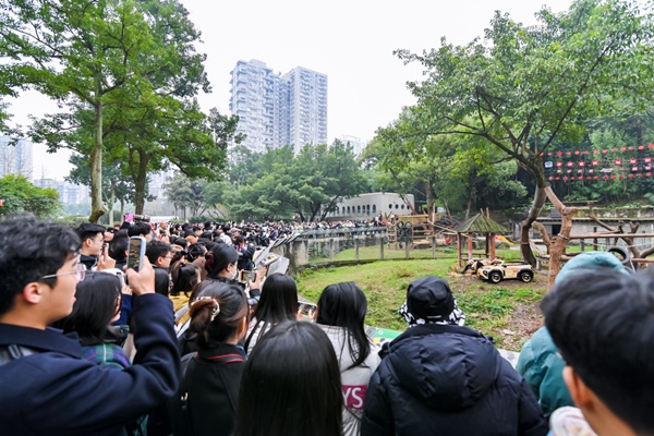 活動現場。長安啟源供圖