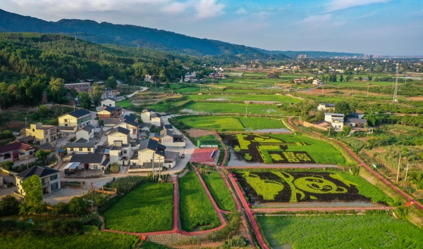 雙昌產業園。榮昌區委宣傳部供圖