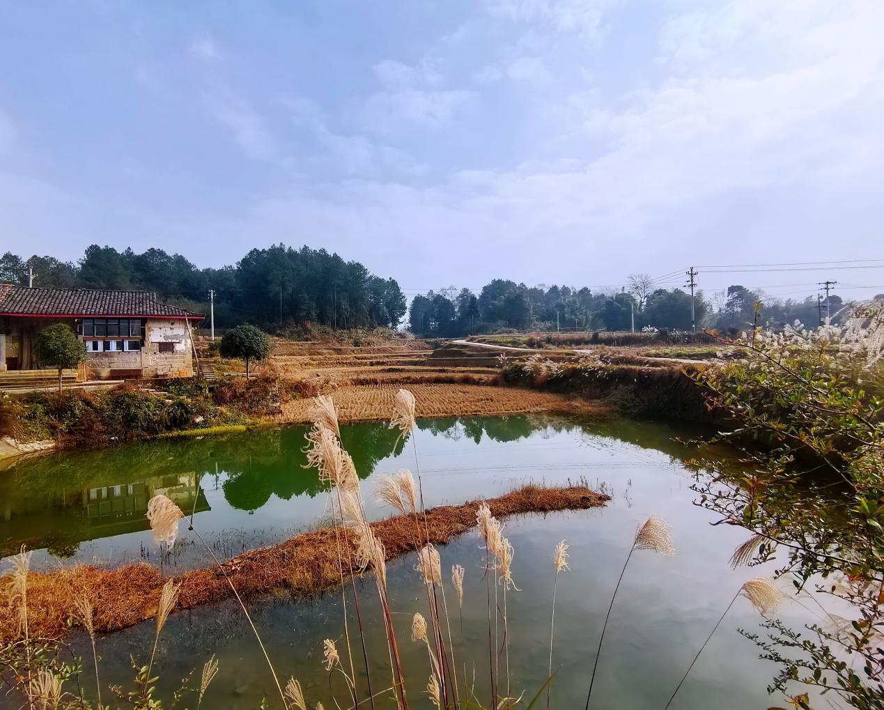 中壩村田園風光。姚於攝