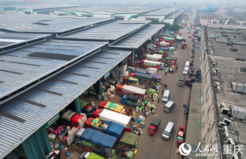 繁忙的江津雙福國際農貿城。人民網記者劉祎攝