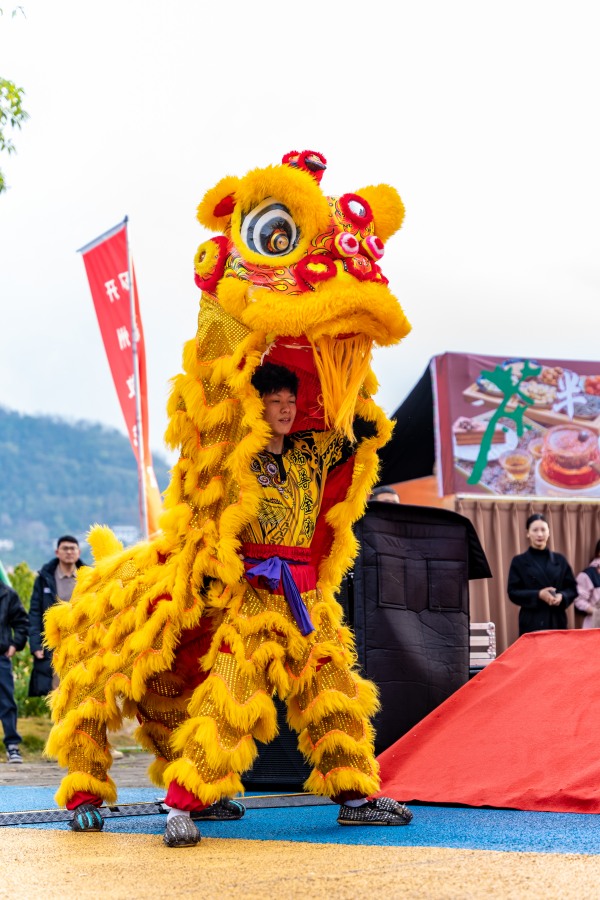 瑞獸金獅表演。開州區委宣傳部供圖