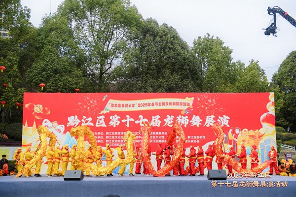 活動現場。主辦方供圖