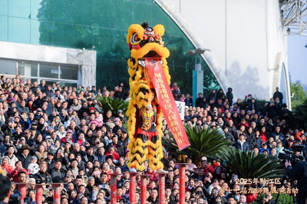 活動現場。主辦方供圖