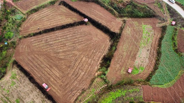 農機手在翻耕高標準農田?！按宕逋惫﹫D