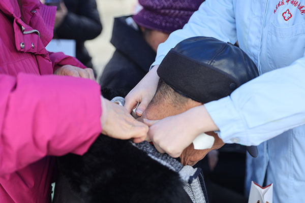 義診現場。重慶西區醫院供圖