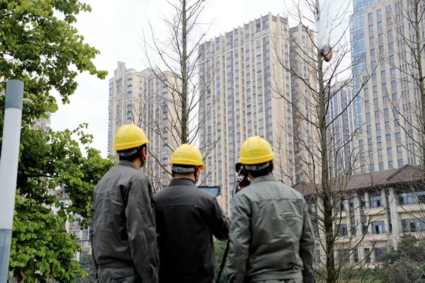 電力人員利用激光技術清除馬蜂窩。國網重慶永川供電公司供圖