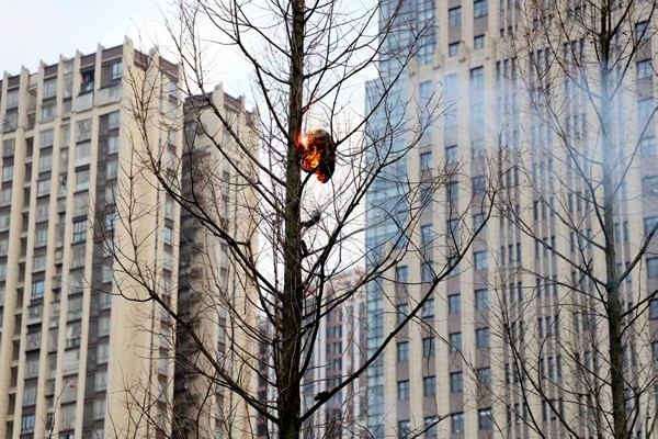 馬蜂窩成功燒蝕炭化。國網重慶永川供電公司供圖
