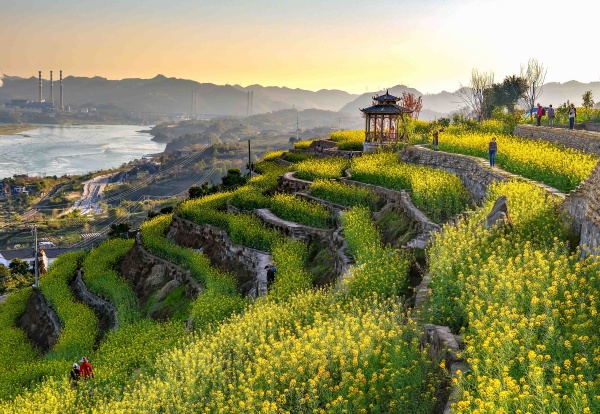 金鰲田園美麗風光。大渡口區文旅委供圖