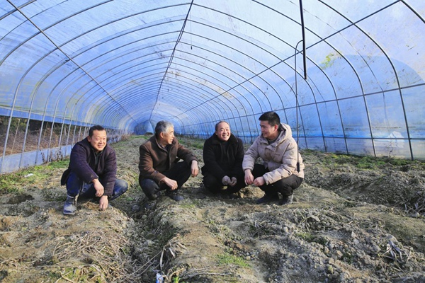 孫和發（右一）在育苗大棚內向工作人員講解育苗注意事項。謝紹春攝