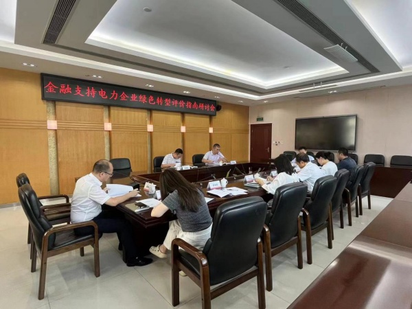 重慶電力協同人行重慶分行及相關金融機構召開金融支持電力企業綠色轉型評價會。劉暢攝