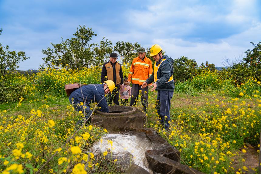 2月25日，在榮昌區清流鎮馬草村血橙種植基地，國網重慶永川供電公司工作人員和果農在一起勞作，了解現階段用電需求，確保果園的噴灌、水肥一體化、凍庫運行等用電設備能夠正常運行。賴小龍攝