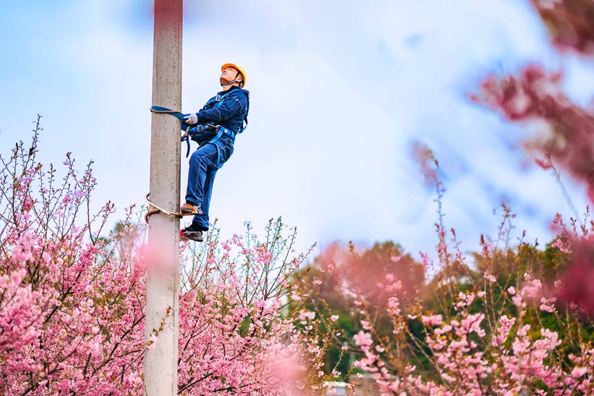 2月25日，在榮昌峰高街道金銀村，國網重慶永川供電公司大力促進“電力+文旅”融合，對櫻花園春灌用電進行全面檢查維護，同時向游客宣講保護電力設施知識。賴小龍攝