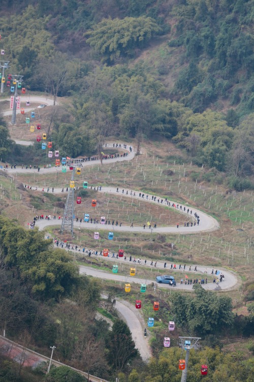 游客通過步道和索道踏青。景區供圖