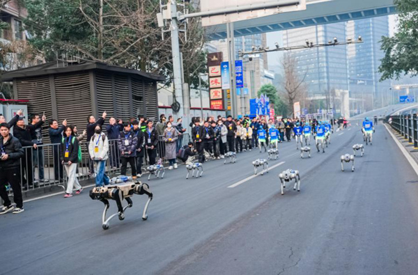 現場助力的機器狗和機器人。主辦方供圖