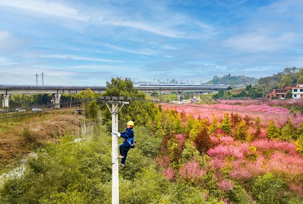 電力員工在電桿上作業。國網重慶永川供電公司供圖
