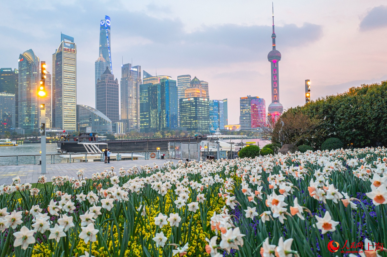 北外灘繁花似錦，景色迷人。 人民網記者 王初攝