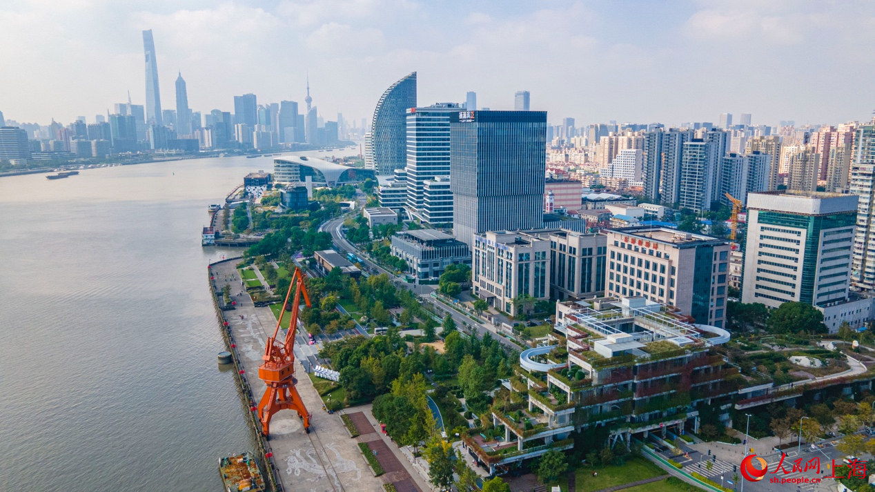 遠眺楊浦濱江。 人民網記者 王初攝