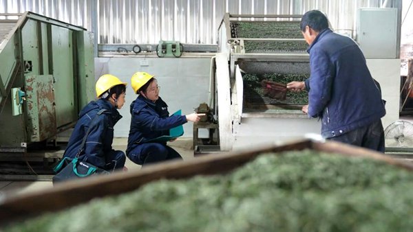 電力人員檢查設備安全運行情況。國網重慶永川供電公司供圖